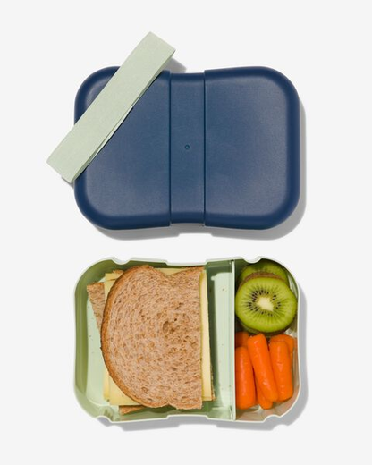 Lunch box with elastic